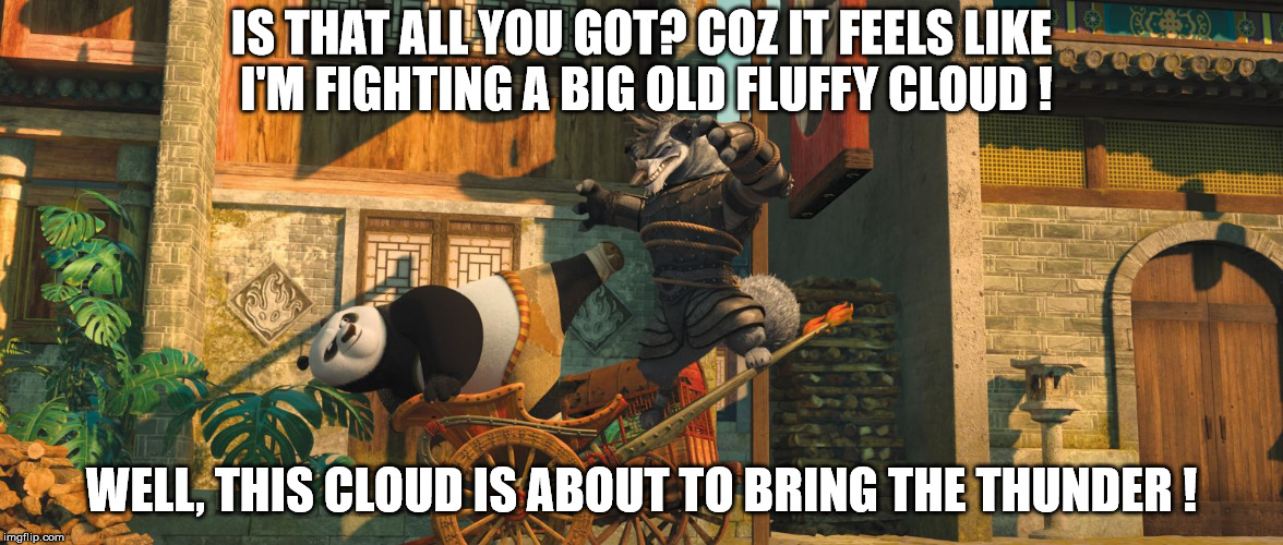 kung fu panda | IS THAT ALL YOU GOT? COZ IT FEELS LIKE I'M FIGHTING A BIG OLD FLUFFY CLOUD ! WELL, THIS CLOUD IS ABOUT TO BRING THE THUNDER ! | image tagged in kung fu panda | made w/ Imgflip meme maker