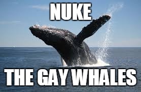 NUKE THE GAY WHALES | made w/ Imgflip meme maker