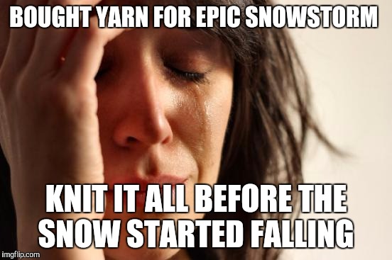 First World Problems | BOUGHT YARN FOR EPIC SNOWSTORM; KNIT IT ALL BEFORE THE SNOW STARTED FALLING | image tagged in memes,first world problems | made w/ Imgflip meme maker