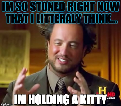 Ancient Aliens Meme | IM SO STONED RIGHT NOW THAT I LITTERALY THINK... IM HOLDING A KITTY | image tagged in memes,ancient aliens | made w/ Imgflip meme maker