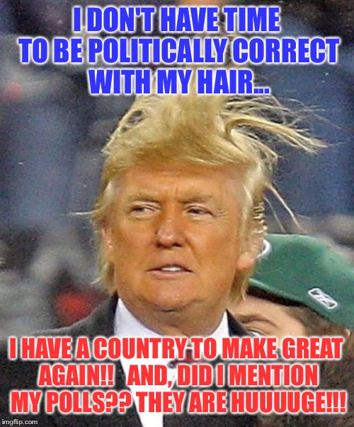 Donald Trumph hair | I DON'T HAVE TIME TO BE POLITICALLY CORRECT WITH MY HAIR... I HAVE A COUNTRY TO MAKE GREAT AGAIN!!   AND, DID I MENTION MY POLLS?? THEY ARE HUUUUGE!!! | image tagged in donald trumph hair | made w/ Imgflip meme maker