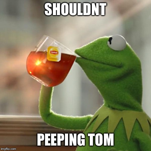 But That's None Of My Business | SHOULDNT; PEEPING TOM | image tagged in memes,but thats none of my business,kermit the frog | made w/ Imgflip meme maker
