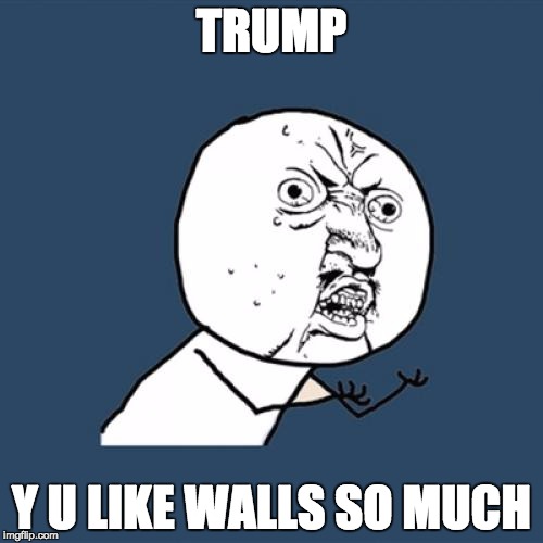 Y U No | TRUMP; Y U LIKE WALLS SO MUCH | image tagged in memes,y u no | made w/ Imgflip meme maker
