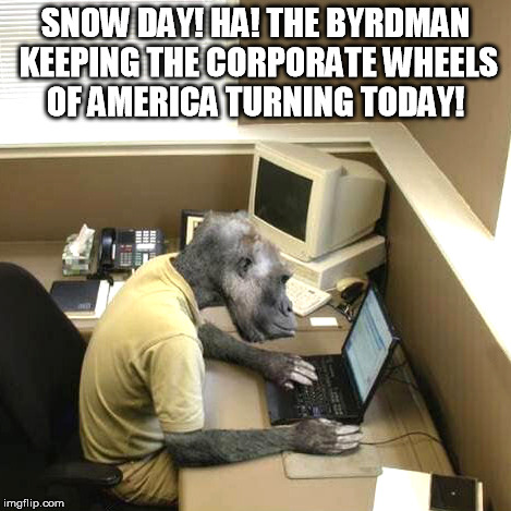 Monkey Business | SNOW DAY! HA! THE BYRDMAN KEEPING THE CORPORATE WHEELS OF AMERICA TURNING TODAY! | image tagged in memes,monkey business | made w/ Imgflip meme maker