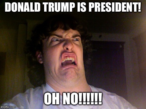 Oh No Meme | DONALD TRUMP IS PRESIDENT! OH NO!!!!!! | image tagged in memes,oh no | made w/ Imgflip meme maker