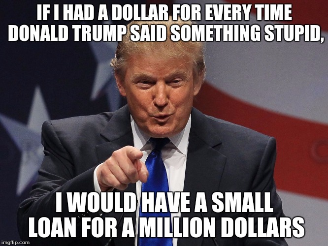 Donald trump | IF I HAD A DOLLAR FOR EVERY TIME DONALD TRUMP SAID SOMETHING STUPID, I WOULD HAVE A SMALL LOAN FOR A MILLION DOLLARS | image tagged in donald trump | made w/ Imgflip meme maker