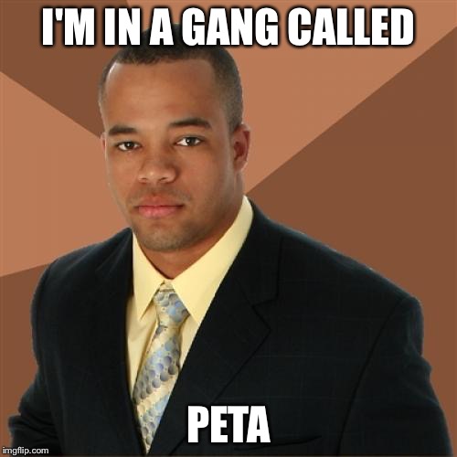 Successful Black Man Meme | I'M IN A GANG CALLED; PETA | image tagged in memes,successful black man | made w/ Imgflip meme maker