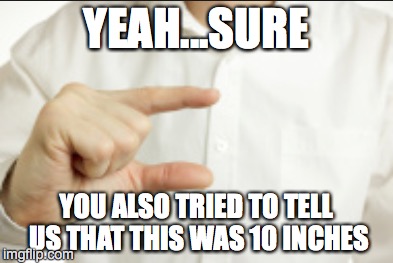 YEAH...SURE YOU ALSO TRIED TO TELL US THAT THIS WAS 10 INCHES | made w/ Imgflip meme maker