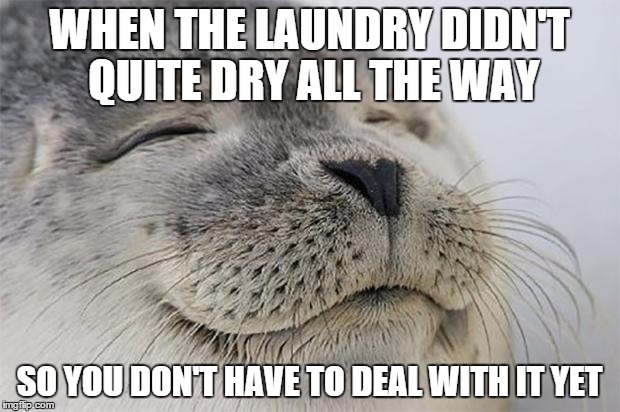 Satisfied Seal | WHEN THE LAUNDRY DIDN'T QUITE DRY ALL THE WAY; SO YOU DON'T HAVE TO DEAL WITH IT YET | image tagged in memes,satisfied seal,AdviceAnimals | made w/ Imgflip meme maker