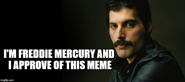 I'M FREDDIE MERCURY AND I APPROVE OF THIS MEME | made w/ Imgflip meme maker