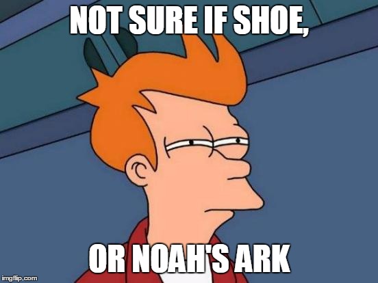 Futurama Fry Meme | NOT SURE IF SHOE, OR NOAH'S ARK | image tagged in memes,futurama fry | made w/ Imgflip meme maker