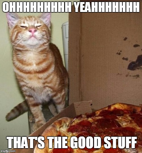 Happy Cat breathes in the awesome | OHHHHHHHHH YEAHHHHHHH; THAT'S THE GOOD STUFF | image tagged in pizza cat,pizza,memes,funny | made w/ Imgflip meme maker