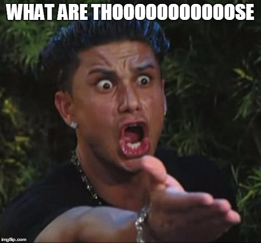 DJ Pauly D | WHAT ARE THOOOOOOOOOOOSE | image tagged in memes,dj pauly d | made w/ Imgflip meme maker