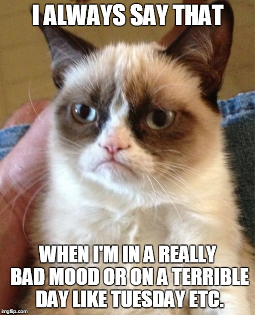 Grumpy Cat Meme | I ALWAYS SAY THAT WHEN I'M IN A REALLY BAD MOOD OR ON A TERRIBLE DAY LIKE TUESDAY ETC. | image tagged in memes,grumpy cat | made w/ Imgflip meme maker