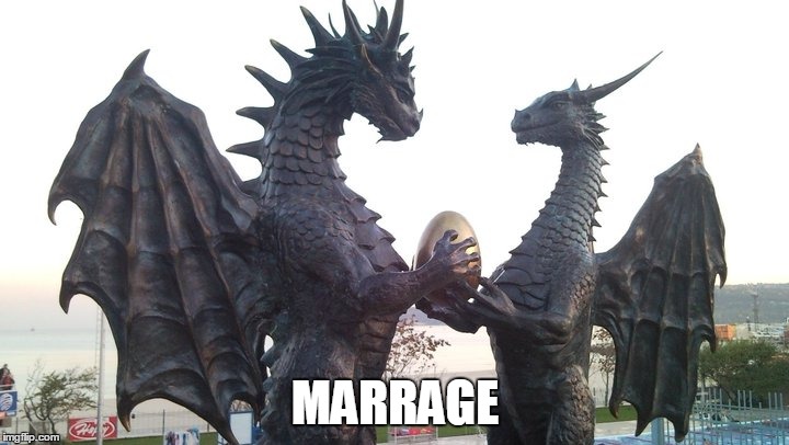 dragon couple | MARRAGE | image tagged in dragon couple | made w/ Imgflip meme maker