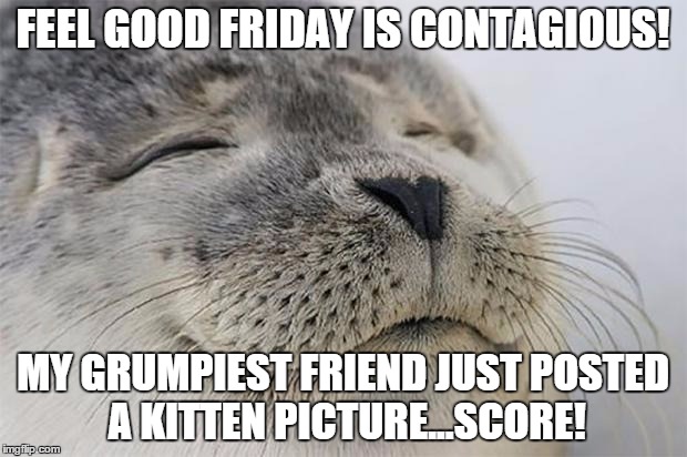 Satisfied Seal Meme | FEEL GOOD FRIDAY IS CONTAGIOUS! MY GRUMPIEST FRIEND JUST POSTED A KITTEN PICTURE...SCORE! | image tagged in memes,satisfied seal | made w/ Imgflip meme maker