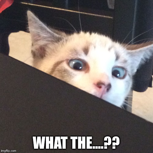 WHAT THE....?? | image tagged in jack | made w/ Imgflip meme maker