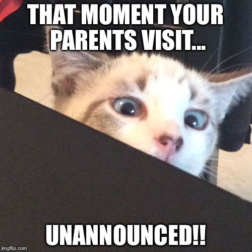 THAT MOMENT YOUR PARENTS VISIT... UNANNOUNCED!! | image tagged in jack 2 | made w/ Imgflip meme maker