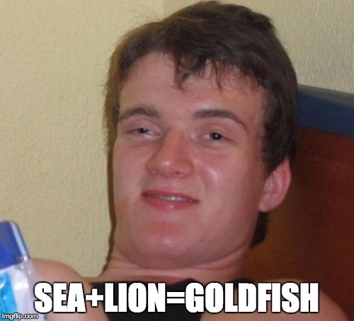 10 Guy Meme | SEA+LION=GOLDFISH | image tagged in memes,10 guy | made w/ Imgflip meme maker