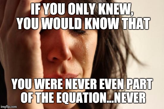 First World Problems Meme | IF YOU ONLY KNEW, YOU WOULD KNOW THAT; YOU WERE NEVER EVEN PART OF THE EQUATION...NEVER | image tagged in memes,first world problems | made w/ Imgflip meme maker
