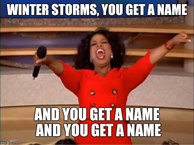 Oprah You Get A Meme | WINTER STORMS, YOU GET A NAME AND YOU GET A NAME AND YOU GET A NAME | image tagged in memes,oprah you get a | made w/ Imgflip meme maker