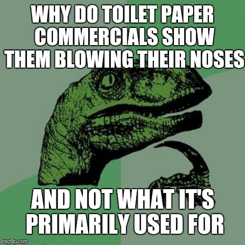 Philosoraptor Meme | WHY DO TOILET PAPER COMMERCIALS SHOW THEM BLOWING THEIR NOSES AND NOT WHAT IT'S PRIMARILY USED FOR | image tagged in memes,philosoraptor | made w/ Imgflip meme maker