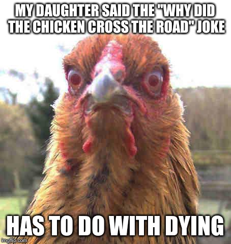 revenge chicken | MY DAUGHTER SAID THE "WHY DID THE CHICKEN CROSS THE ROAD" JOKE; HAS TO DO WITH DYING | image tagged in revenge chicken | made w/ Imgflip meme maker