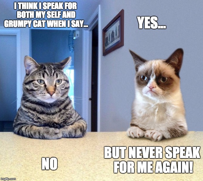 Two Grumpy Cats | I THINK I SPEAK FOR BOTH MY SELF AND GRUMPY CAT WHEN I SAY... YES... BUT NEVER SPEAK FOR ME AGAIN! NO | image tagged in two grumpy cats | made w/ Imgflip meme maker