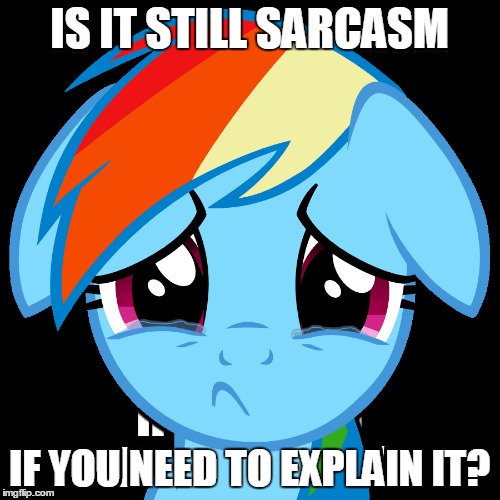 Well? | IS IT STILL SARCASM; IF YOU NEED TO EXPLAIN IT? | image tagged in memes,sarcasm | made w/ Imgflip meme maker