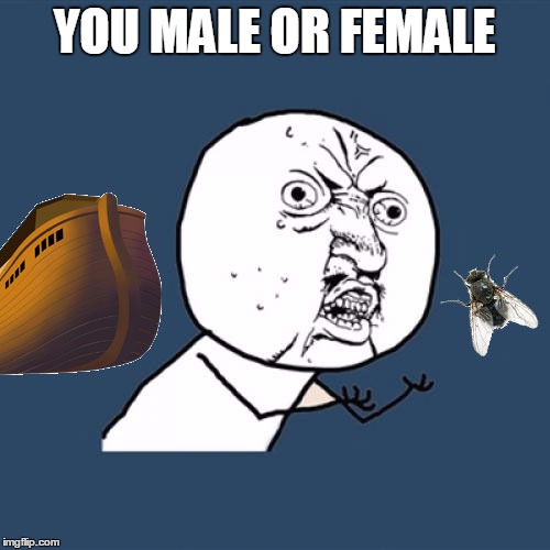 YOU MALE OR FEMALE | made w/ Imgflip meme maker