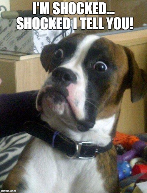 Blankie the Shocked Dog | I'M SHOCKED... SHOCKED I TELL YOU! | image tagged in blankie the shocked dog | made w/ Imgflip meme maker