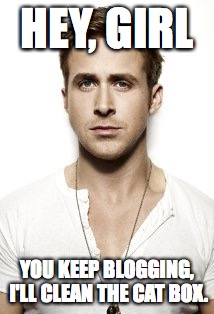 Ryan Gosling | HEY, GIRL; YOU KEEP BLOGGING, I'LL CLEAN THE CAT BOX. | image tagged in memes,ryan gosling | made w/ Imgflip meme maker