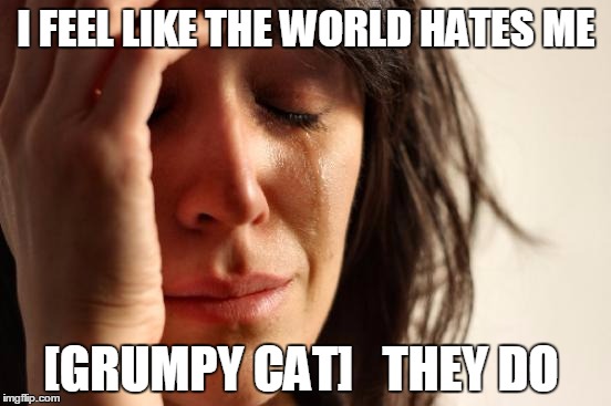 First World Problems Meme | I FEEL LIKE THE WORLD HATES ME; [GRUMPY CAT] 

THEY DO | image tagged in memes,first world problems | made w/ Imgflip meme maker
