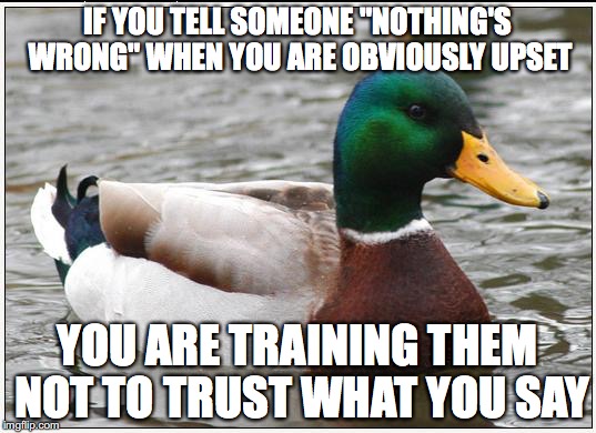 Actual Advice Mallard | IF YOU TELL SOMEONE "NOTHING'S WRONG" WHEN YOU ARE OBVIOUSLY UPSET; YOU ARE TRAINING THEM NOT TO TRUST WHAT YOU SAY | image tagged in memes,actual advice mallard,AdviceAnimals | made w/ Imgflip meme maker