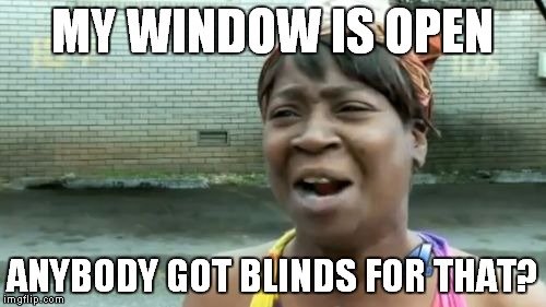 Ain't Nobody Got Time For That | MY WINDOW IS OPEN; ANYBODY GOT BLINDS FOR THAT? | image tagged in memes,aint nobody got time for that | made w/ Imgflip meme maker