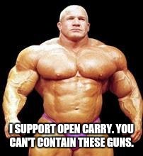 muscles | I SUPPORT OPEN CARRY. YOU CAN'T CONTAIN THESE GUNS. | image tagged in muscles | made w/ Imgflip meme maker