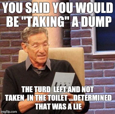 Maury Lie Detector | YOU SAID YOU WOULD BE "TAKING" A DUMP; THE TURD  LEFT AND NOT TAKEN  IN THE TOILET ...DETERMINED THAT WAS A LIE | image tagged in memes,maury lie detector | made w/ Imgflip meme maker