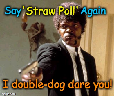 What's this 'Straw Poll' crap?  Did we run out of paper or something? | 'Straw Poll'; Say                    Again; I double-dog dare you! | image tagged in memes,say that again i dare you | made w/ Imgflip meme maker