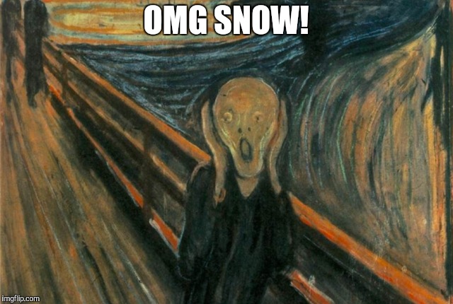 OMG SNOW! | image tagged in snow | made w/ Imgflip meme maker