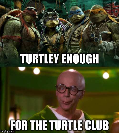TURTLEY ENOUGH; FOR THE TURTLE CLUB | image tagged in funny,teenage mutant ninja turtles | made w/ Imgflip meme maker