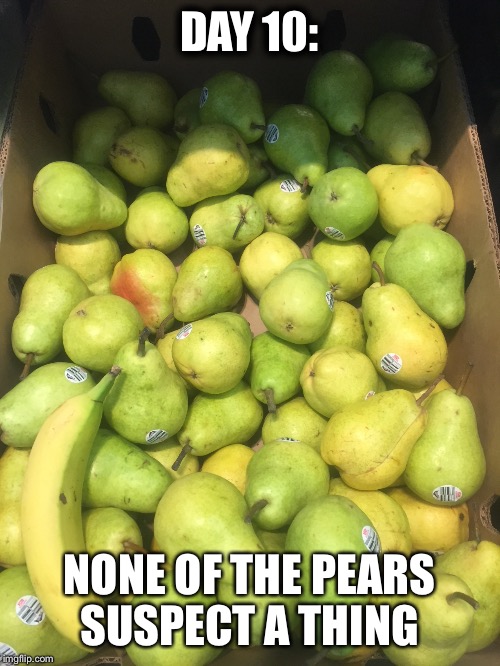 Found this @ Walmart. Top Secret Banana! | DAY 10:; NONE OF THE PEARS SUSPECT A THING | image tagged in banana,funny,walmart | made w/ Imgflip meme maker