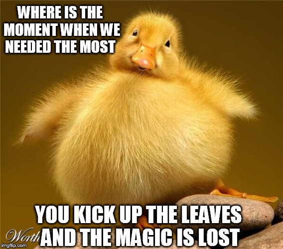 WHERE IS THE MOMENT WHEN WE NEEDED THE MOST YOU KICK UP THE LEAVES AND THE MAGIC IS LOST | made w/ Imgflip meme maker