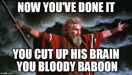 NOW YOU'VE DONE IT YOU CUT UP HIS BRAIN YOU BLOODY BABOON | made w/ Imgflip meme maker