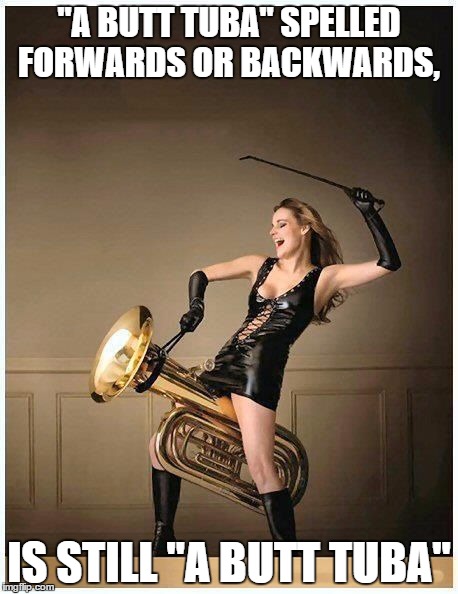tuba girl | "A BUTT TUBA" SPELLED FORWARDS OR BACKWARDS, IS STILL "A BUTT TUBA" | image tagged in tuba girl | made w/ Imgflip meme maker