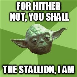 Ween The Stallion Pt. 2 Advice Yoda | FOR HITHER NOT, YOU SHALL; THE STALLION, I AM | image tagged in memes,advice yoda | made w/ Imgflip meme maker