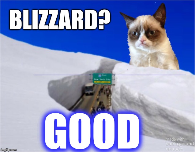 Snowpocalypse 2016 | BLIZZARD? GOOD | image tagged in grumpy cat | made w/ Imgflip meme maker