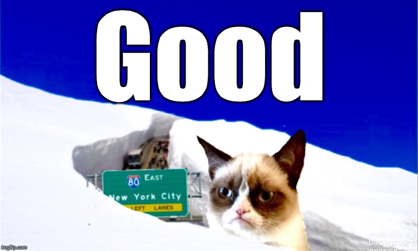 Blizzard of 2016 | Good | image tagged in grumpy cat | made w/ Imgflip meme maker