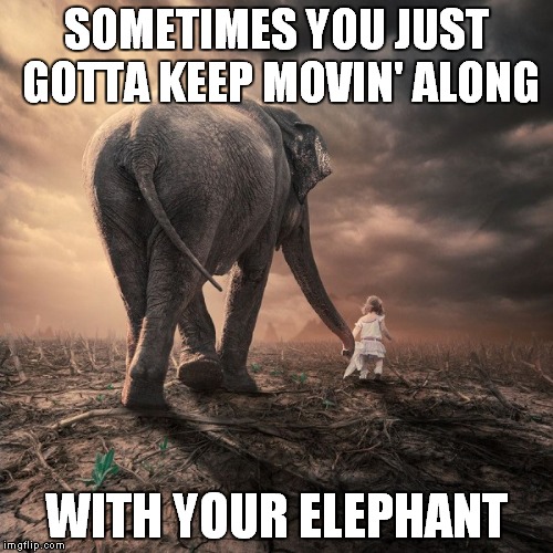 One elephant at a time! | SOMETIMES YOU JUST GOTTA KEEP MOVIN' ALONG; WITH YOUR ELEPHANT | image tagged in elephant,walking,motivation | made w/ Imgflip meme maker