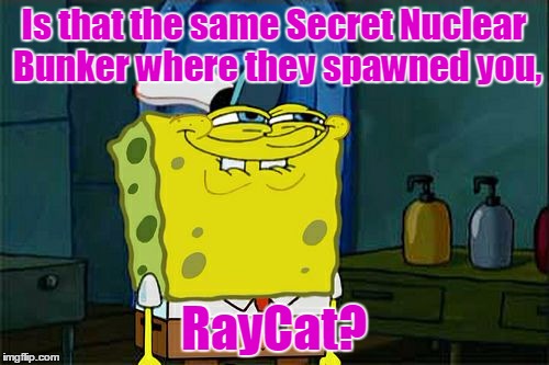 Don't You Squidward Meme | Is that the same Secret Nuclear Bunker where they spawned you, RayCat? | image tagged in memes,dont you squidward | made w/ Imgflip meme maker