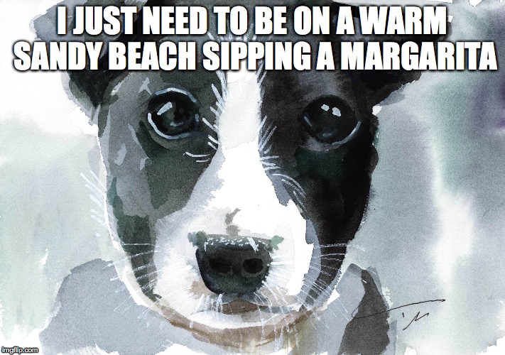 NEED THE BEACH | I JUST NEED TO BE ON A WARM SANDY BEACH SIPPING A MARGARITA | image tagged in beach,dogs,vacation,cocktail | made w/ Imgflip meme maker
